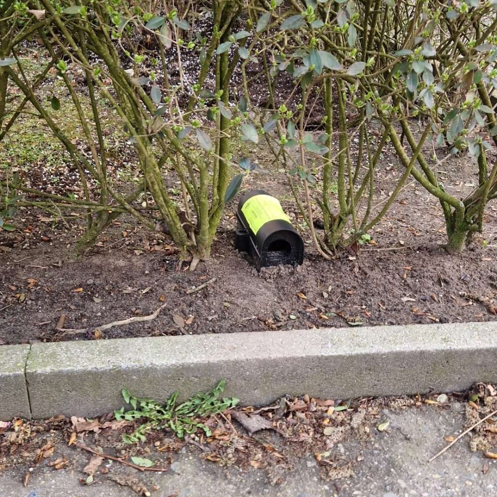 Giftköder-Rattengift ausgelegt-Profilbild