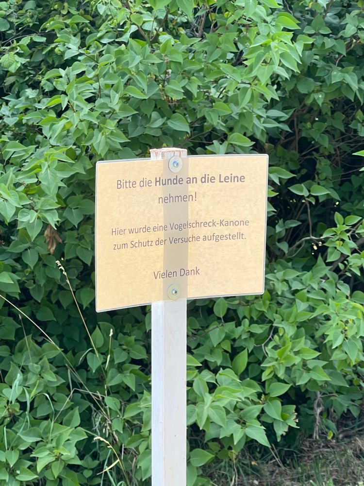 Giftköder-Vogelschreck-Kanone auf den Feldern-Profilbild