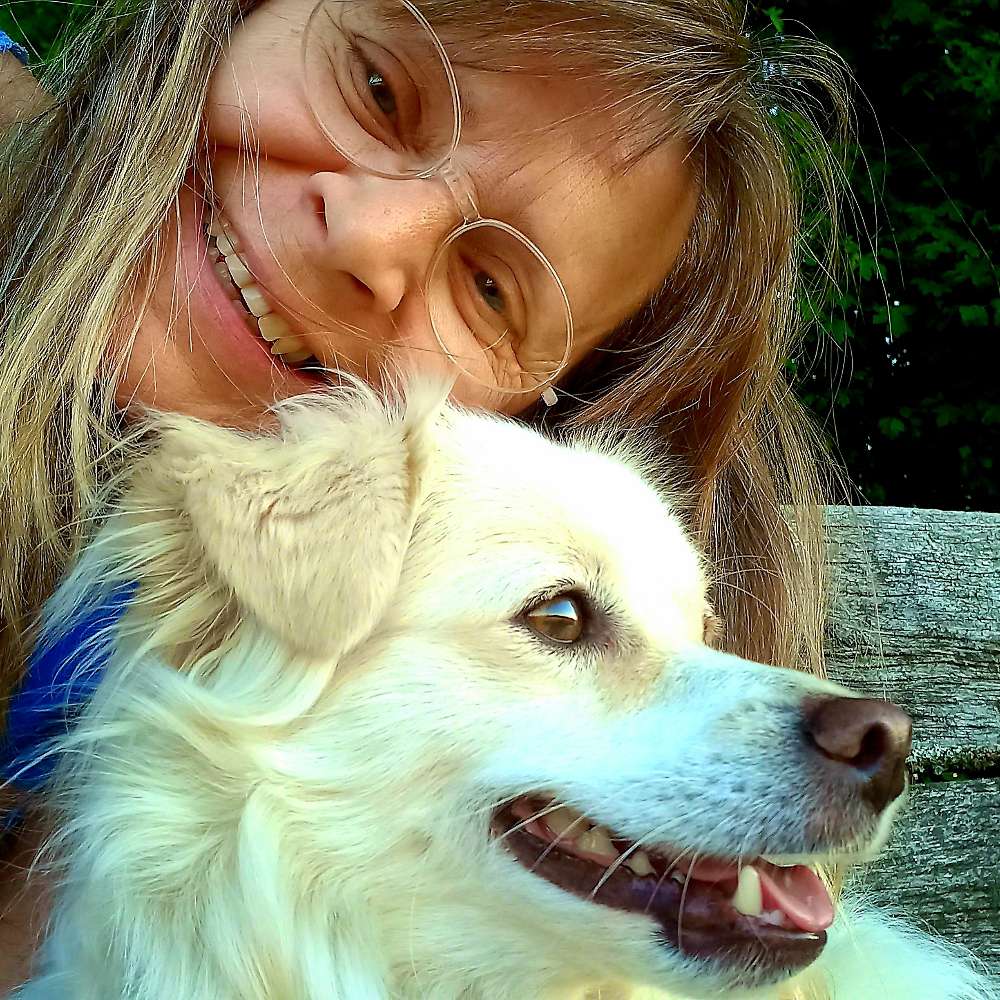 Hundetreffen-Hundefreunde zum laufen/spielen gesucht.-Profilbild