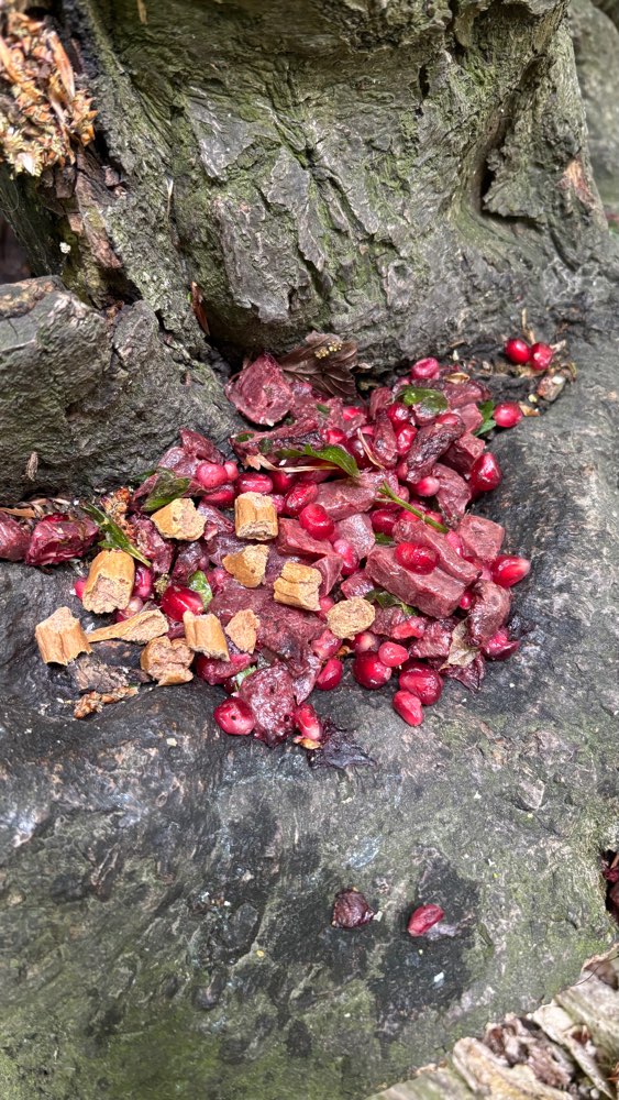 Giftköder-Giftköder? (Wittelsbacherbrücke, Isar)-Profilbild