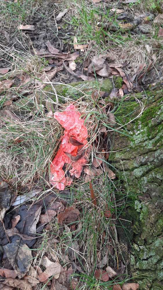 Giftköder-Hackfleisch, vermutlich Giftköder-Profilbild