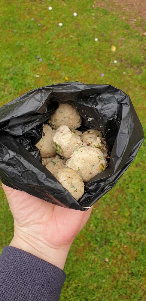 Giftköder-Giftköder-Profilbild