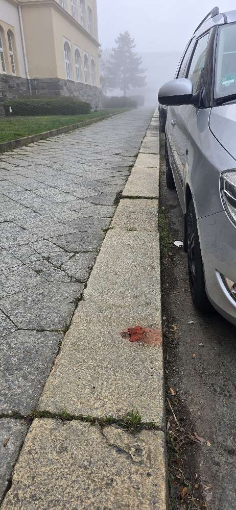 Giftköder-Rote Masse !-Profilbild