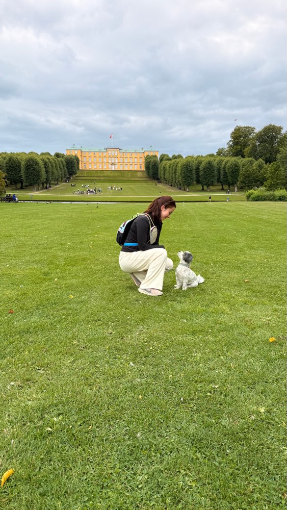 Hundetreffen-Playdate-Profilbild