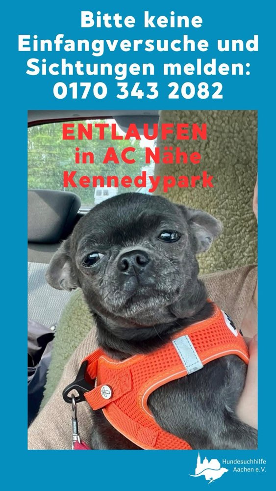 Suchmeldung-Süsi-Profilbild