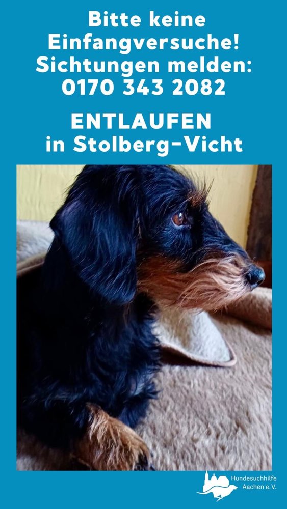 Suchmeldung-Louise-Profilbild