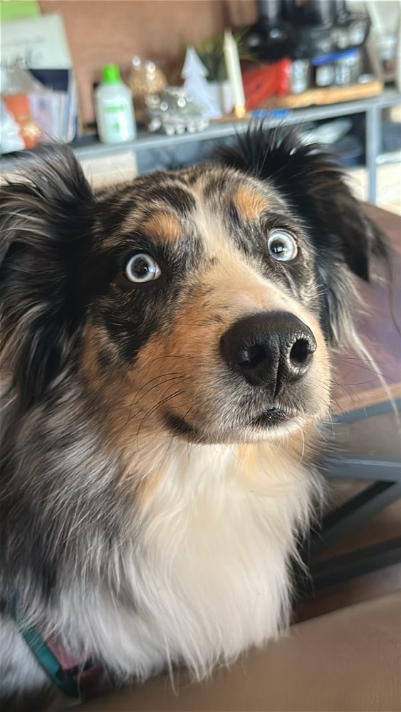 Suchmeldung-Morty-Profilbild