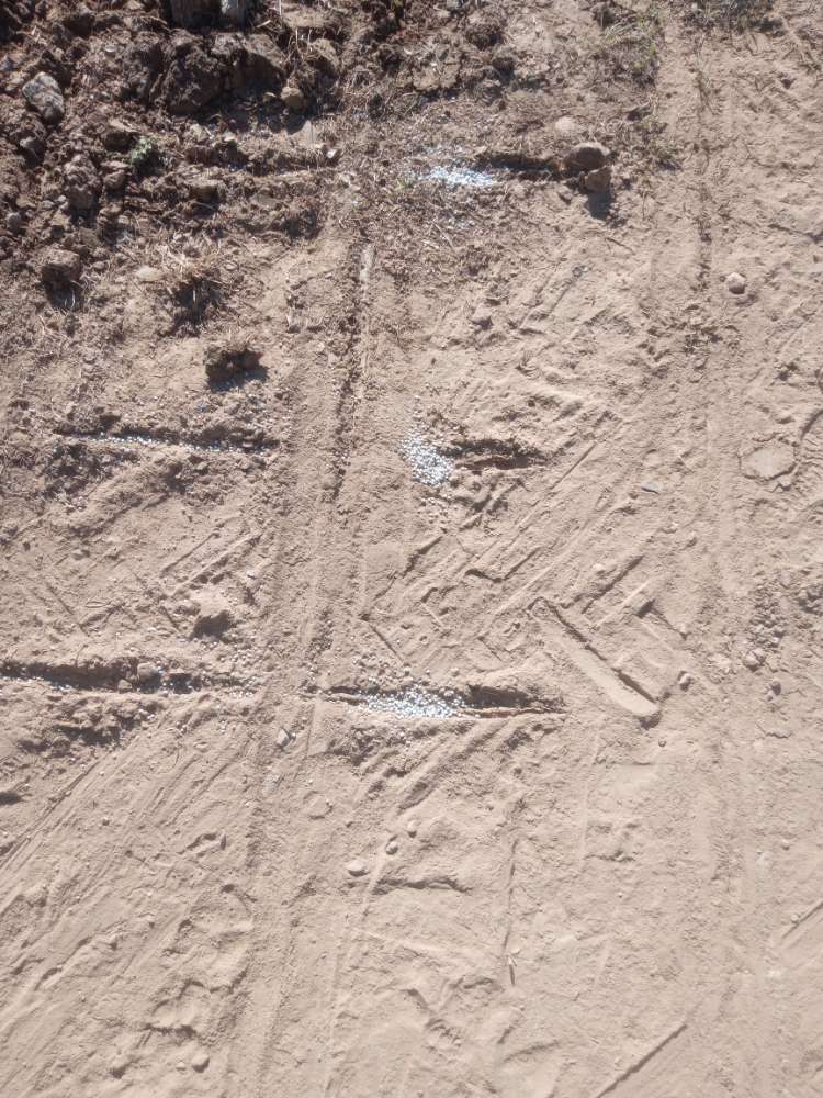 Giftköder-Dünger-Profilbild