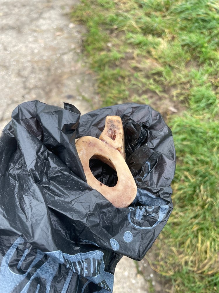 Giftköder-Eventuell Giftköder-Profilbild