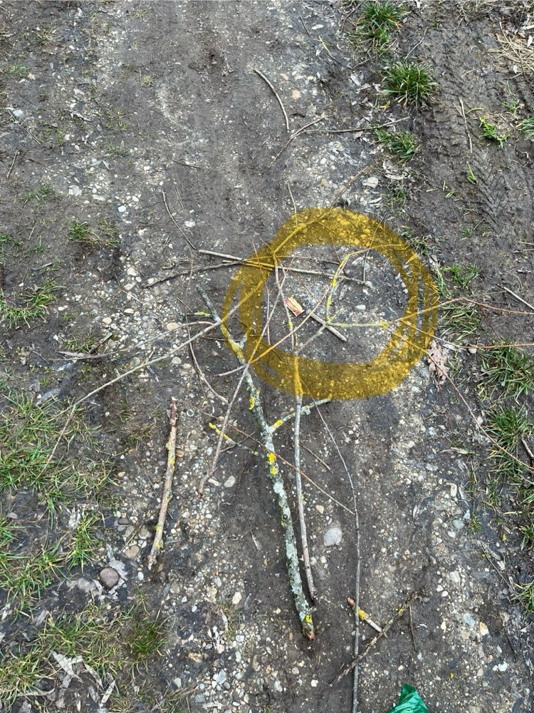 Giftköder-Glasscherben-Profilbild