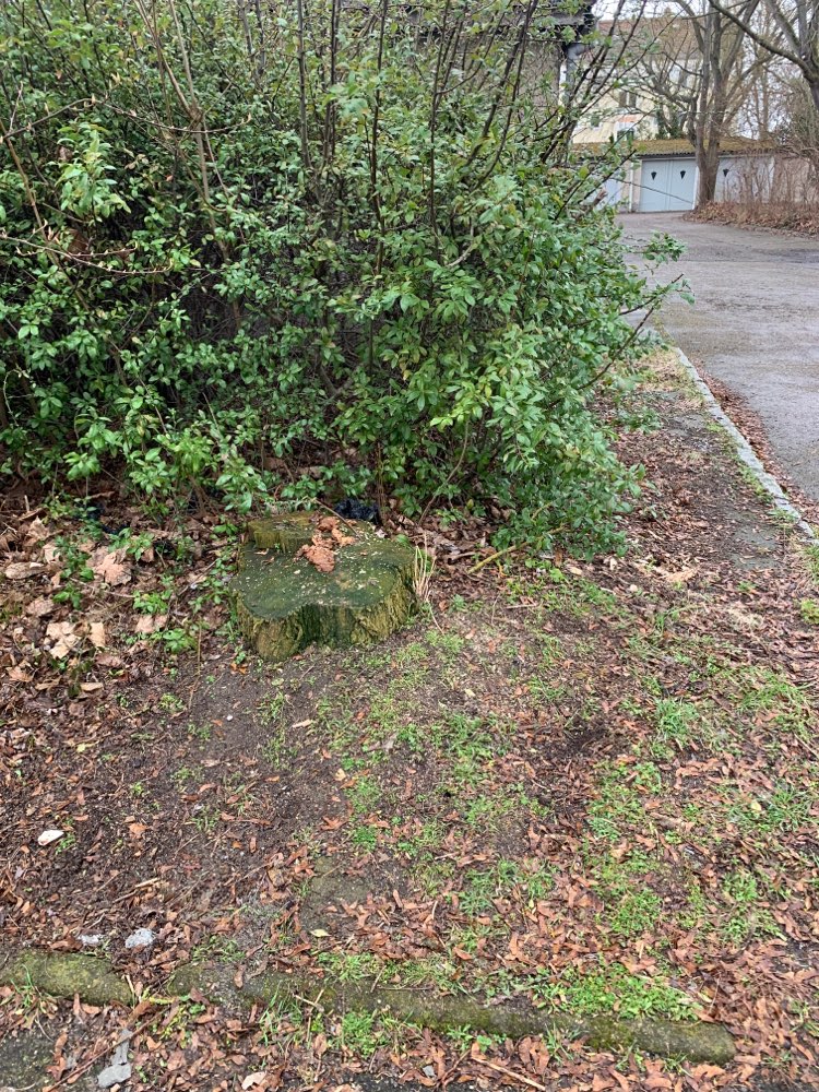 Giftköder-Möglicher Giftköder-Profilbild