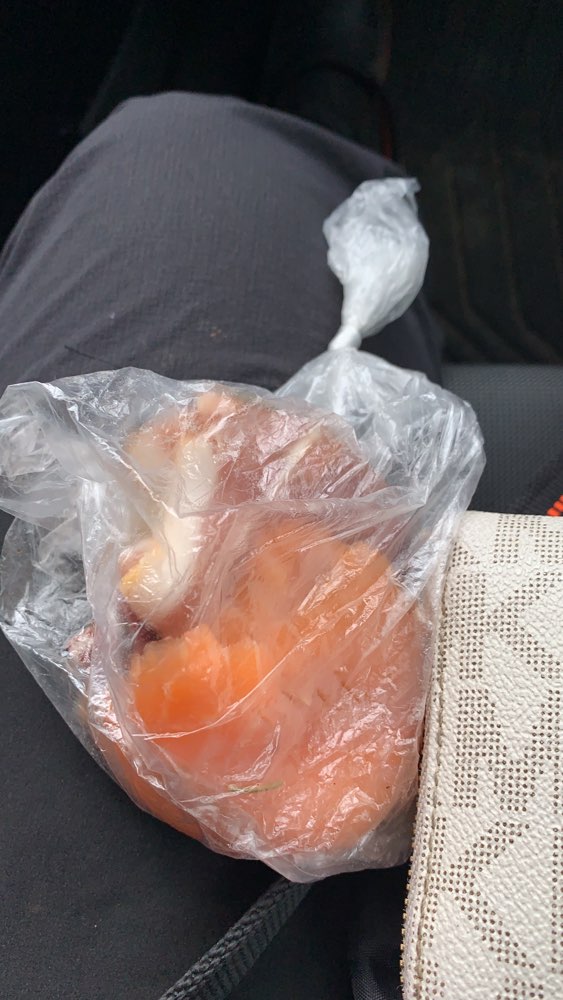 Giftköder-Lachs und Schinken im Wald-Profilbild