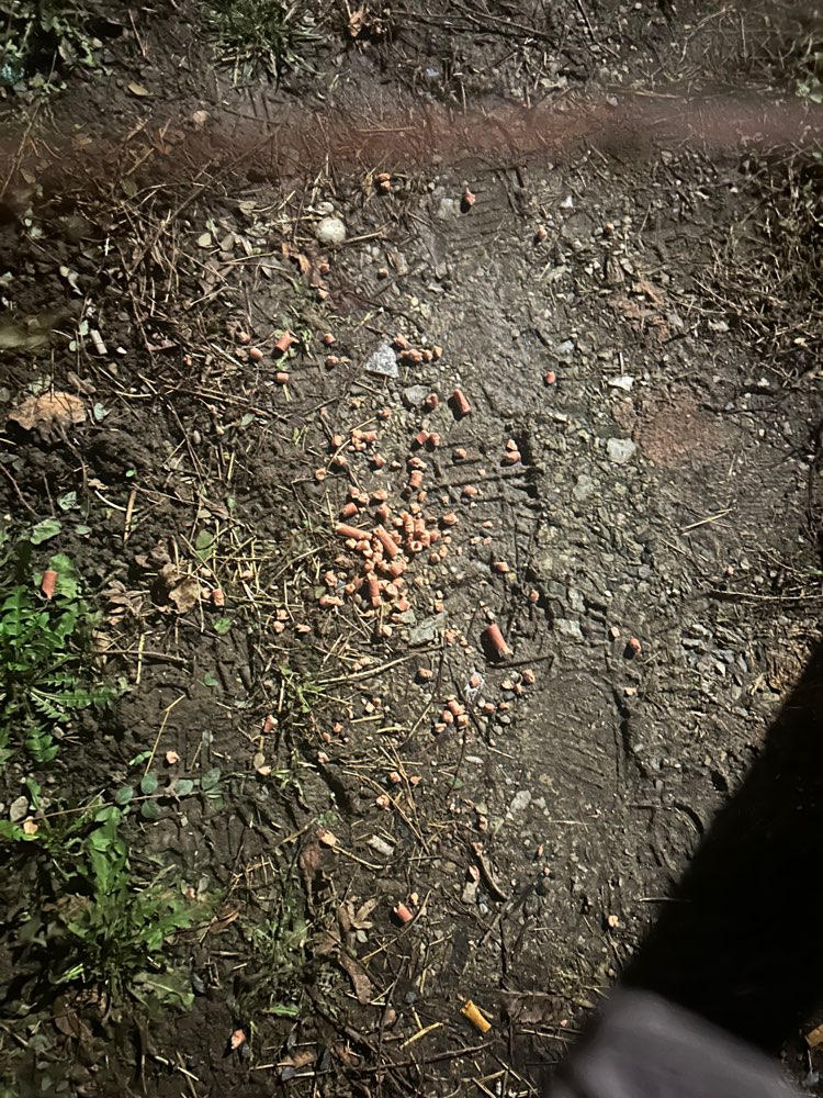 Giftköder-Rattengift Friedlgasse-Profilbild