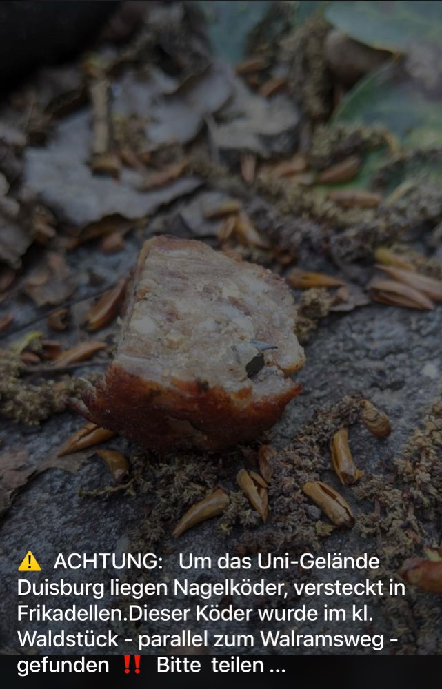 Giftköder-Nagelköder-Profilbild