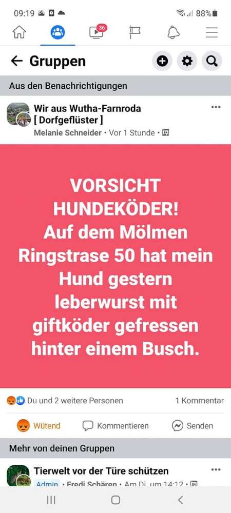 Giftköder-Giftköder (Leberwurst im Gebüsch)-Profilbild