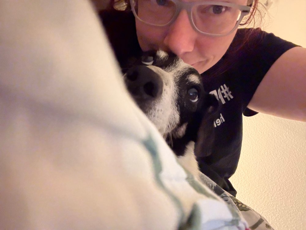 Hundetreffen-Gassirunde / Spielkumpel*ine-Profilbild