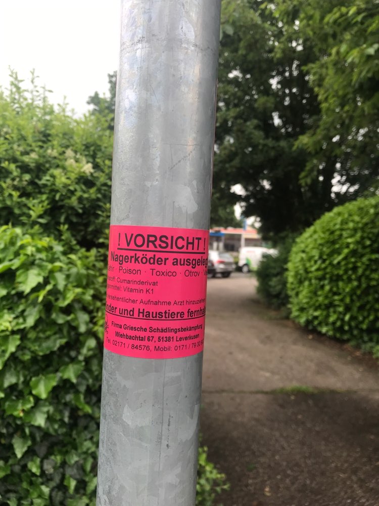 Giftköder-Nagerköder-Profilbild