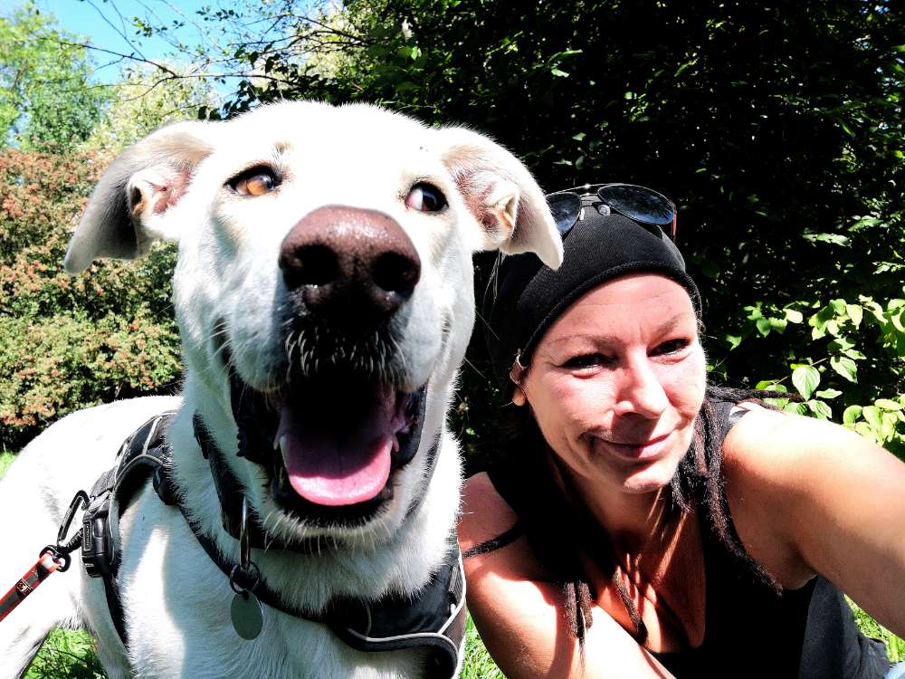 Hundetreffen-Gespenst sucht neuen Kumpel für ausgedehnte Spaziergänge-Profilbild