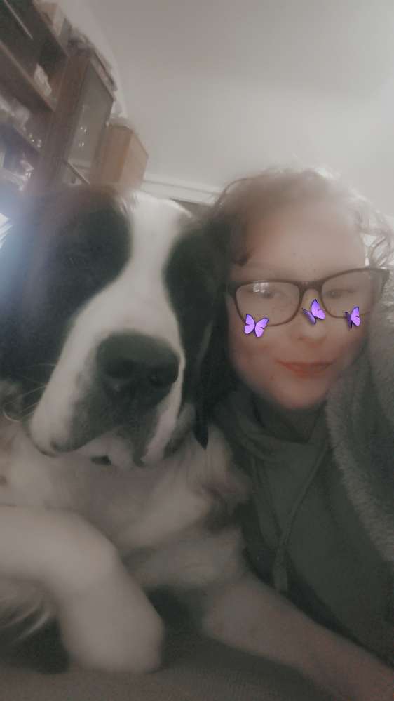 Hundetreffen-Hundetreffen-Profilbild