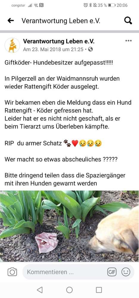 Giftköder-Rattengift köder-Profilbild