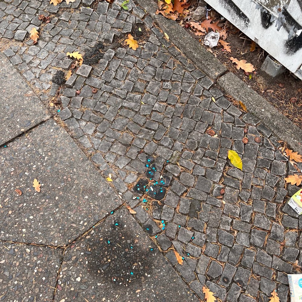 Giftköder-Blaue Krümel neben Kleidersammlung-Profilbild