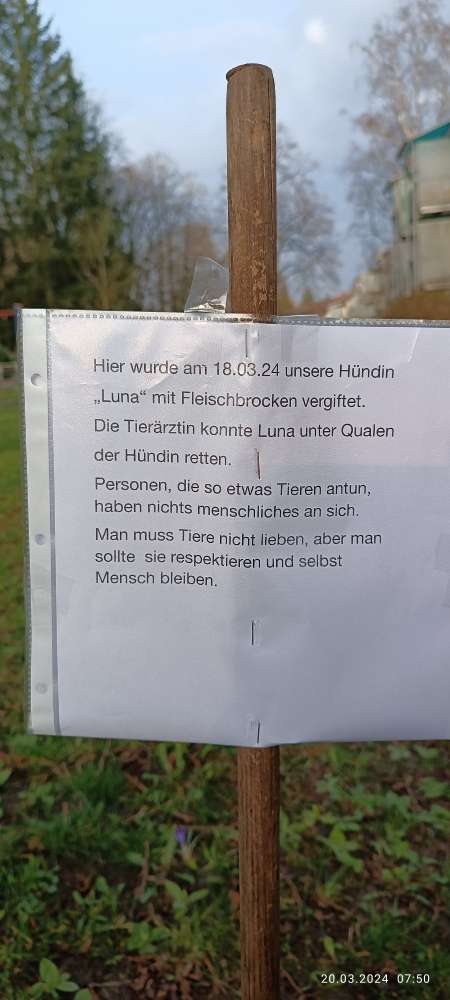 Giftköder-Giftköder-Profilbild