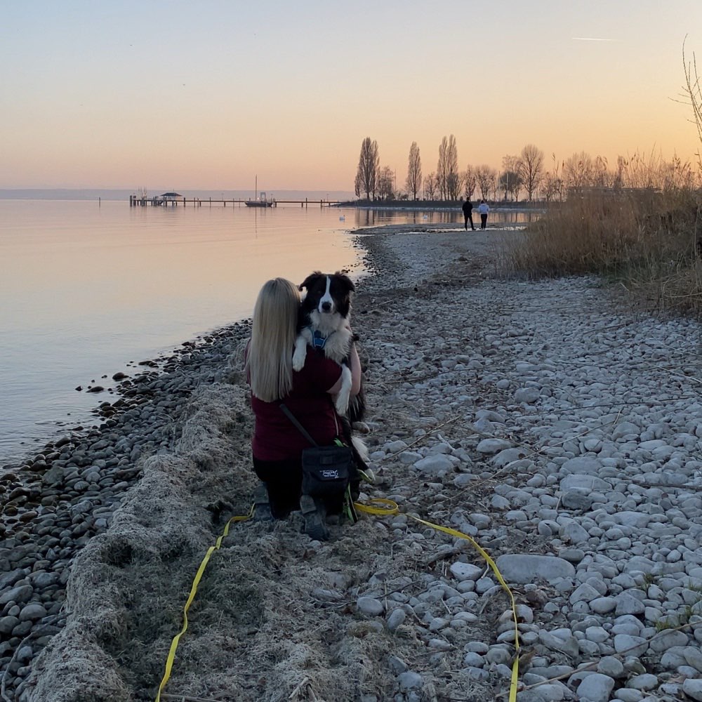 Hundetreffen-Pablo sucht Gassi- und Spielpartner 🐾-Profilbild