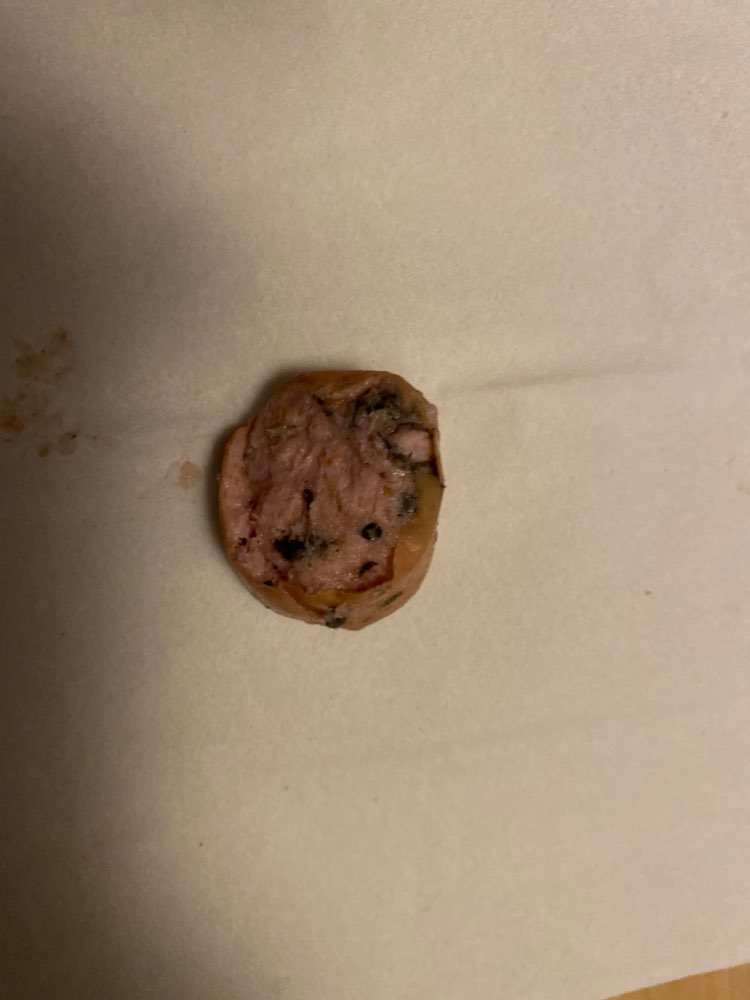 Giftköder-Vergifteter Hund-Profilbild