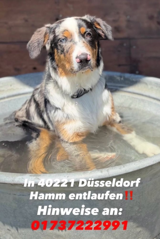 Suchmeldung-Joker-Profilbild
