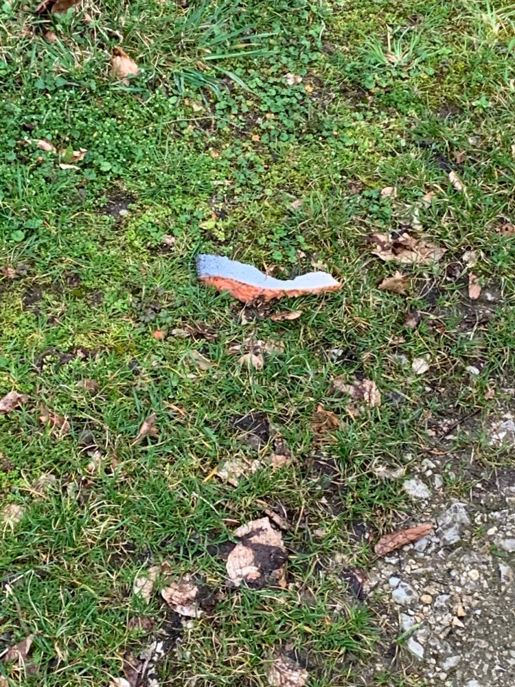 Giftköder-Fischreste am Feldweg-Profilbild