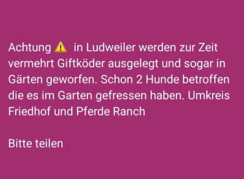 Giftköder-Mehrere Warnungen über Giftköder-Profilbild