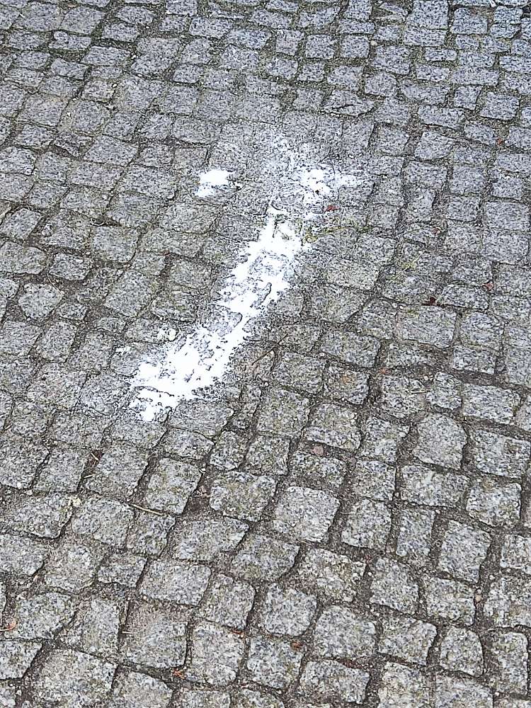 Giftköder-Weißes Pulver vor der Pappelallee 53-Profilbild