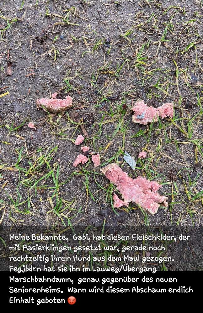 Giftköder-Fleisch gespickt mit Rasierklingen-Profilbild