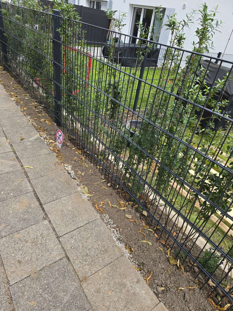 Giftköder-Weißes Pulver am Gehweg entlang gestreut-Profilbild