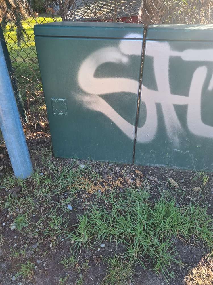 Giftköder-Trockenfutter ausgestreut-Profilbild