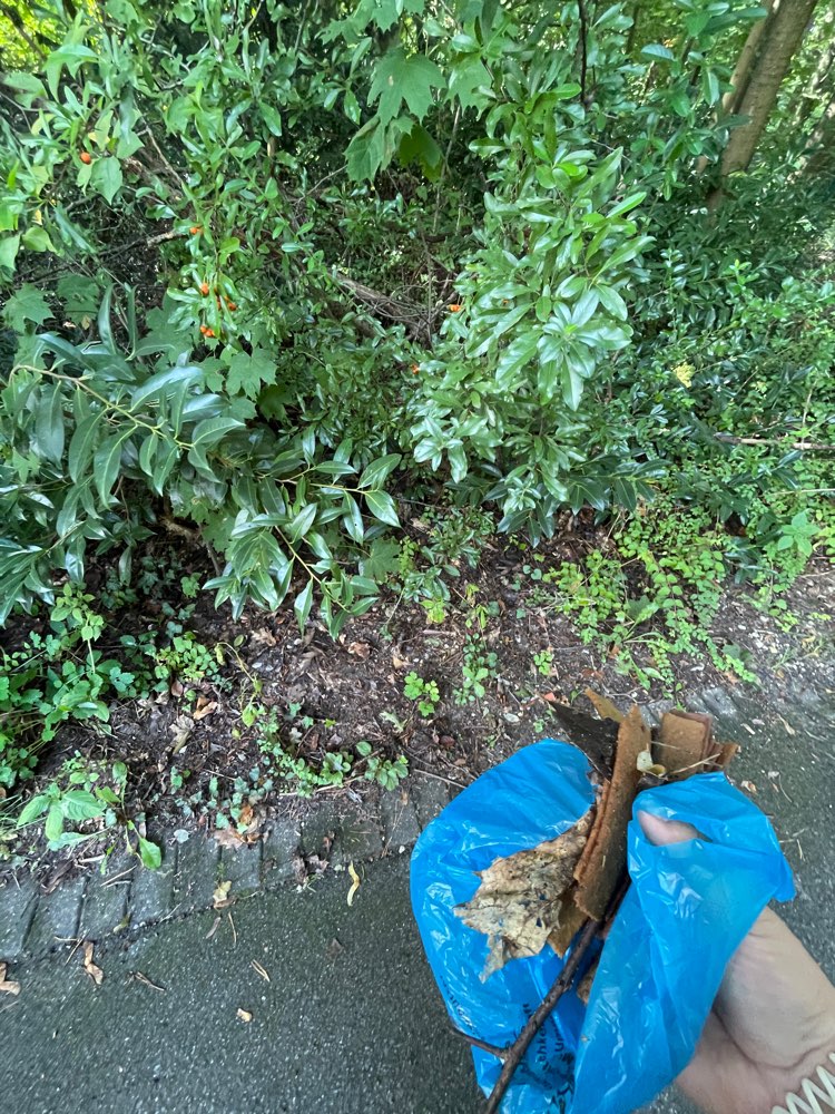 Giftköder-Waldfriedhof lose Leckerliestangen-Profilbild