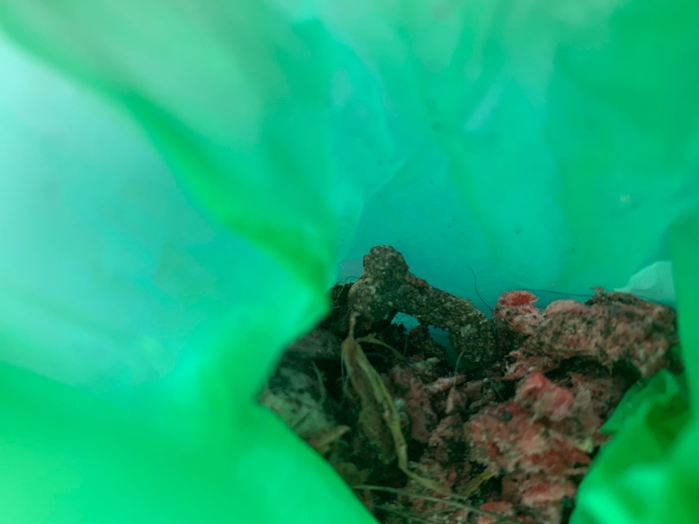 Giftköder-Giftköder Marienhöhe-Profilbild