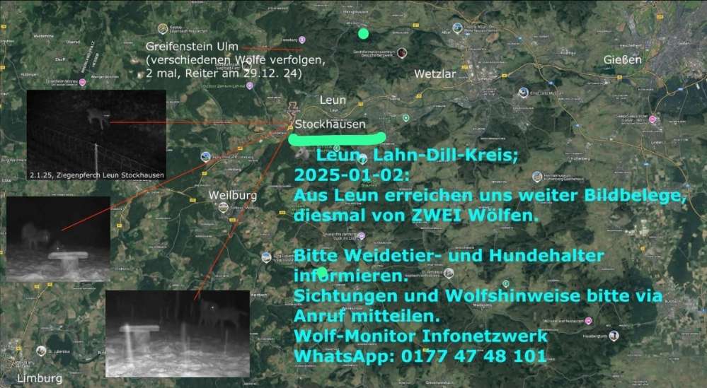 Giftköder-Wolf Sichtungen-Profilbild