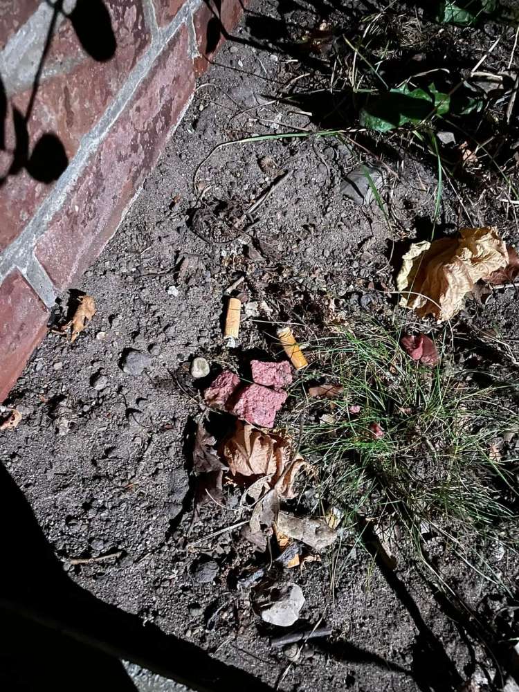 Giftköder-Giftköder-Profilbild