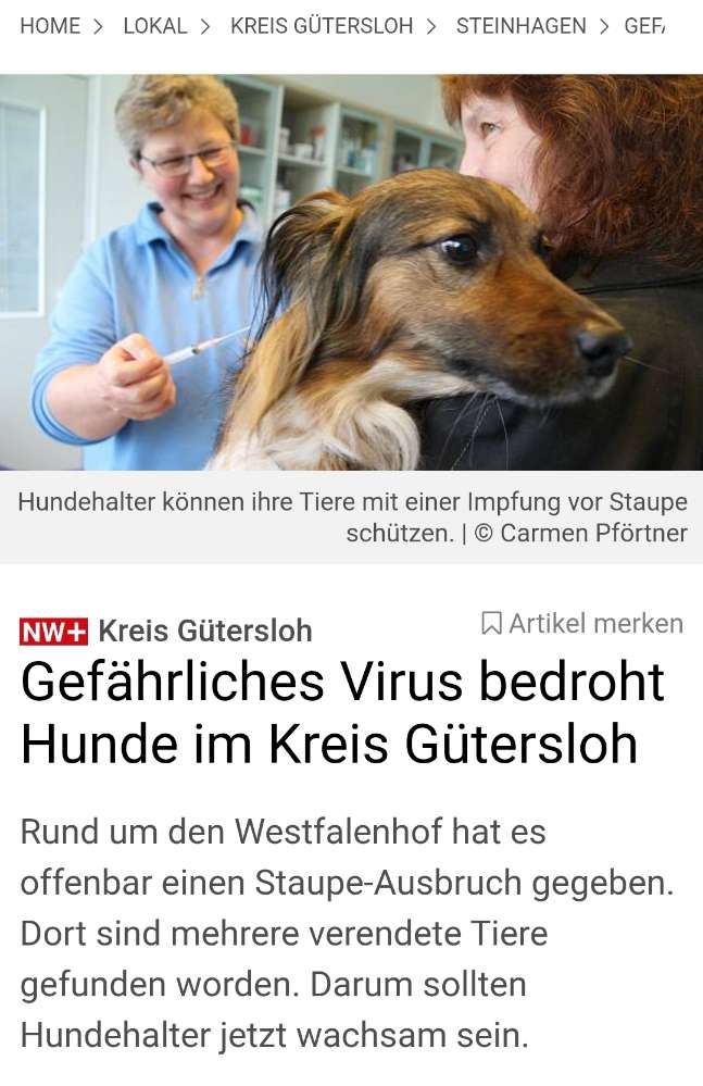 Giftköder-Staupeausbruch-Profilbild