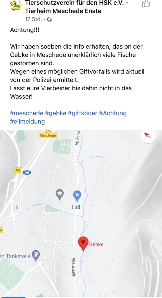 Giftköder-Gift in der Gebke-Profilbild