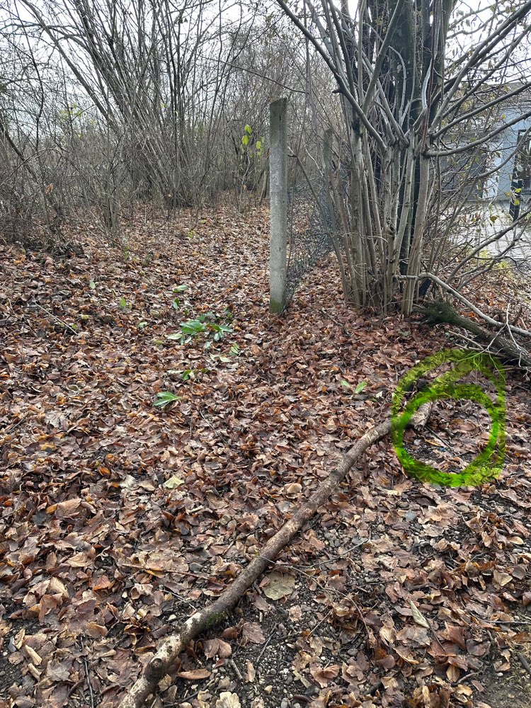 Giftköder-Rattengift lose blau-Profilbild