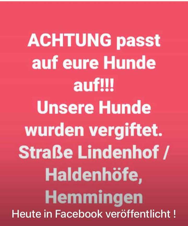 Giftköder-Gift-Profilbild