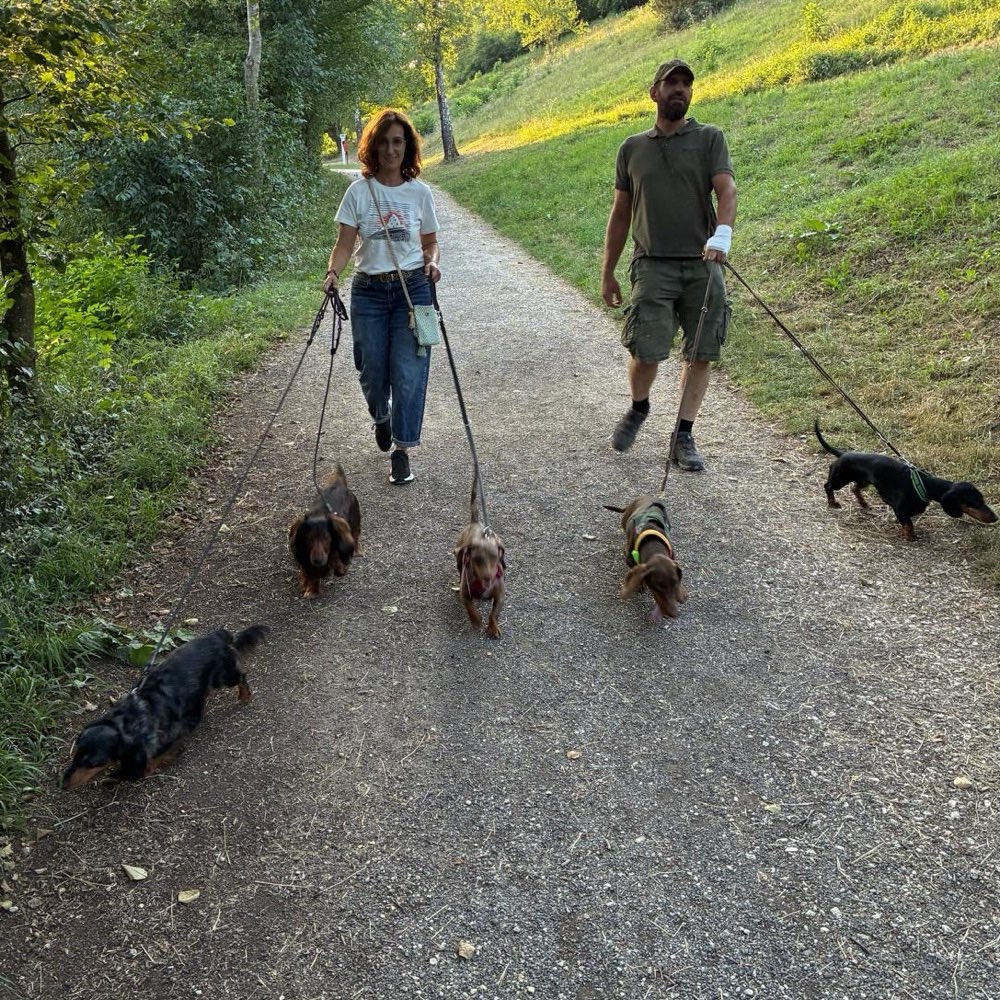 Hundetreffen-Dackelspaziergang 🐾-Profilbild