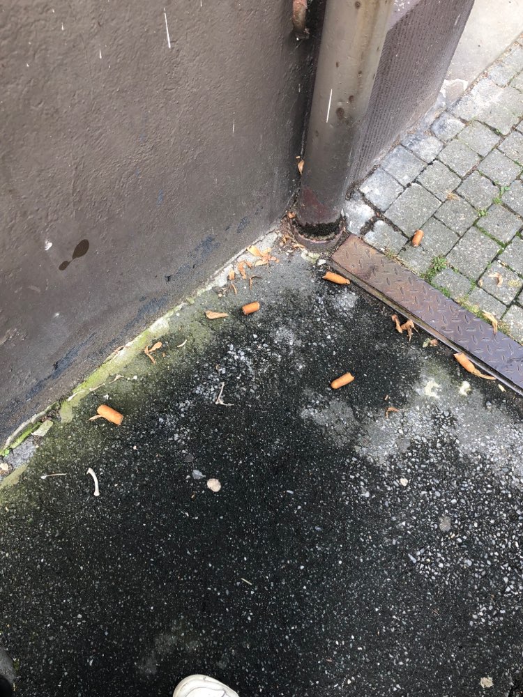 Giftköder-Auffällig verteilte Würstchenstücke!!-Profilbild