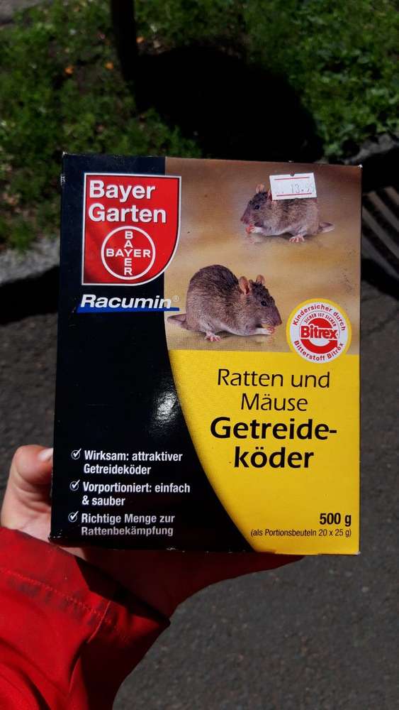 Giftköder-Offene Packung Rattengift beim Sperrmüll-Profilbild