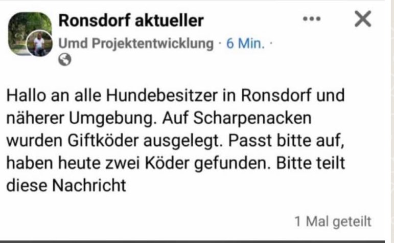 Giftköder-Giftköder-Profilbild