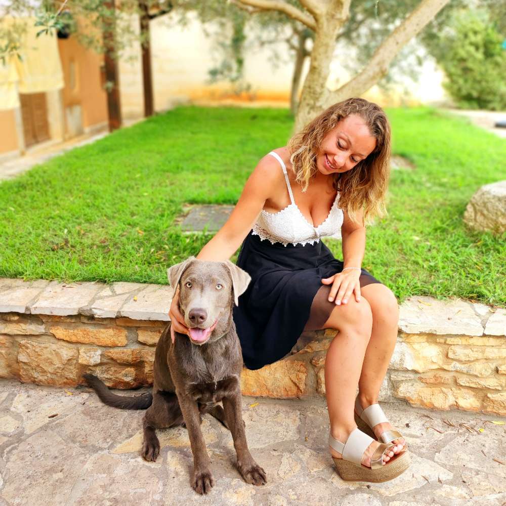 Hundetreffen-Spielerisches Hundedate-Profilbild