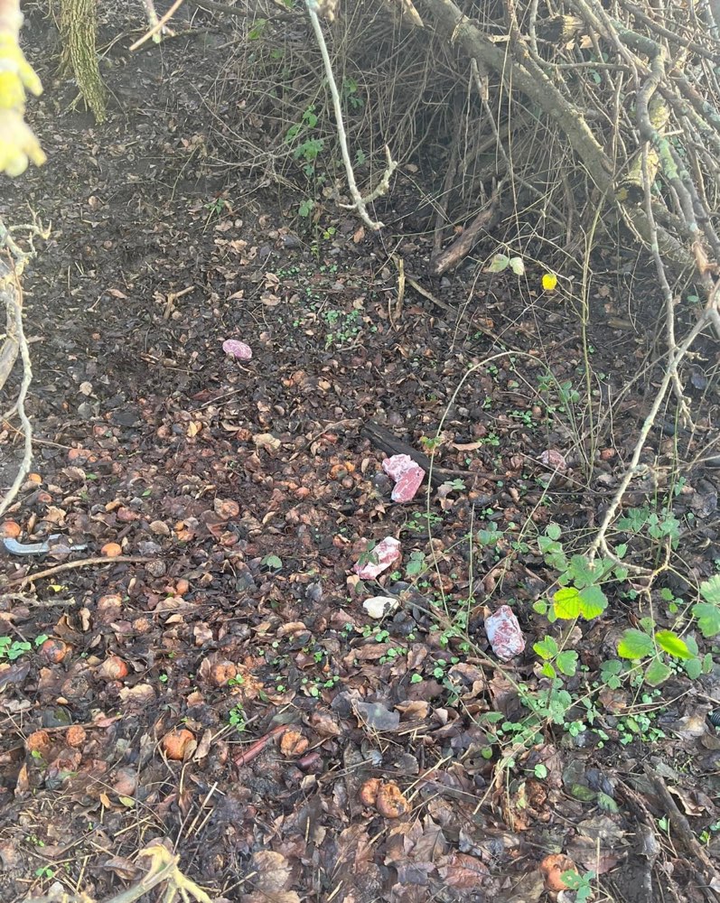 Giftköder-Mehrere Fleischstücke-Profilbild