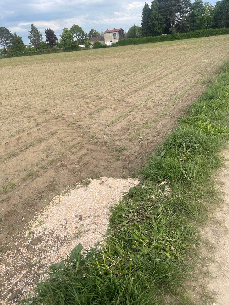 Giftköder-Pestizide-Profilbild